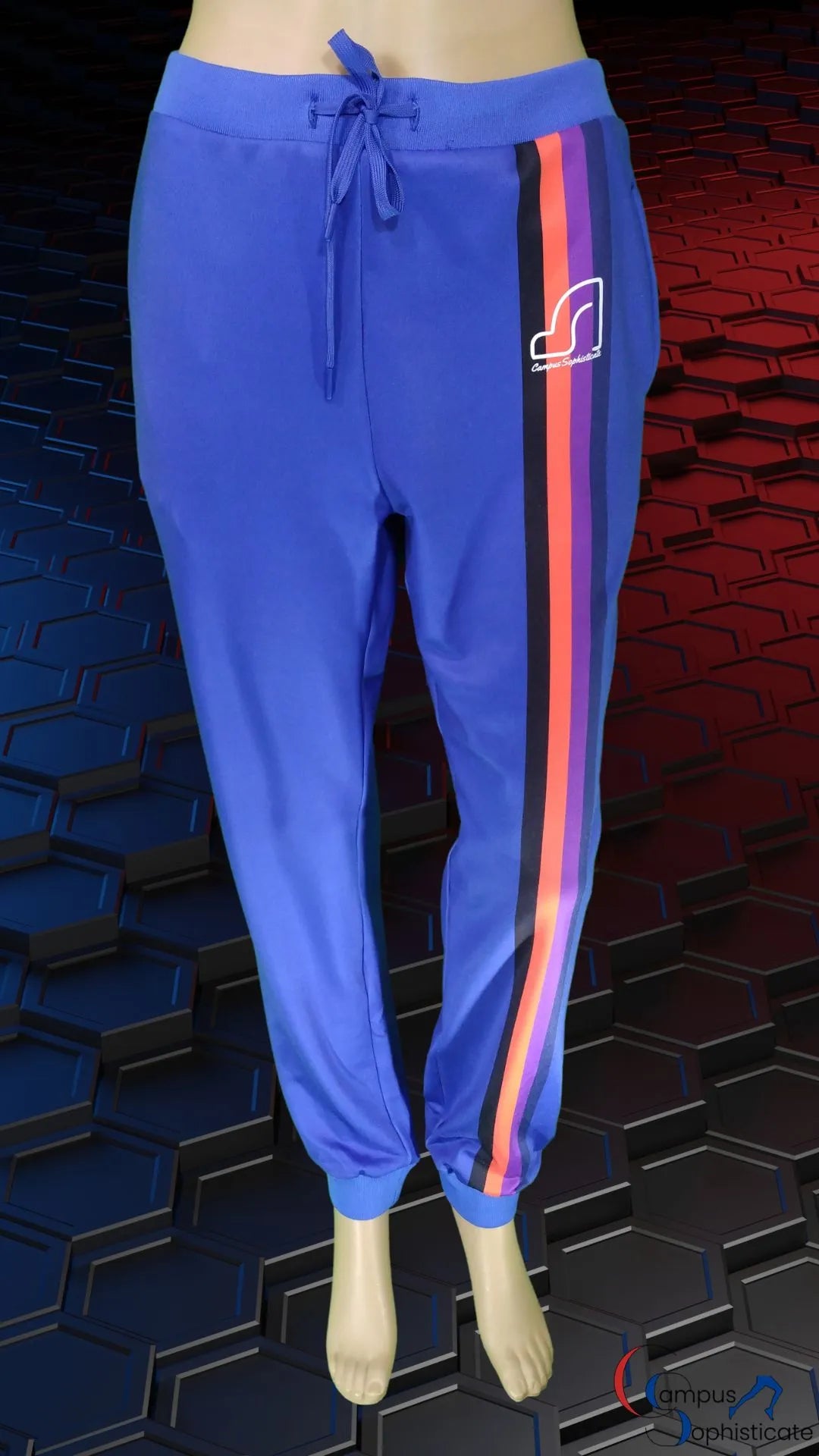 Campus Sophisticate Premium Female Sweatpants - Endangered Species