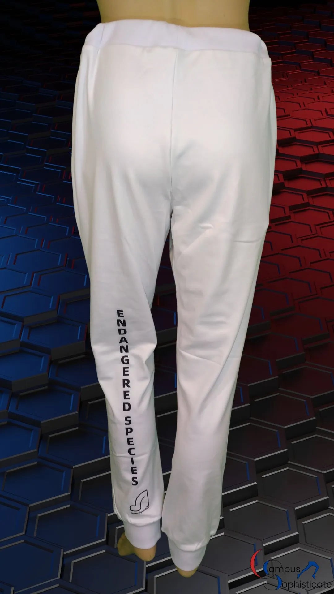 Campus Sophisticate Premium Female Sweatpants - Endangered Species