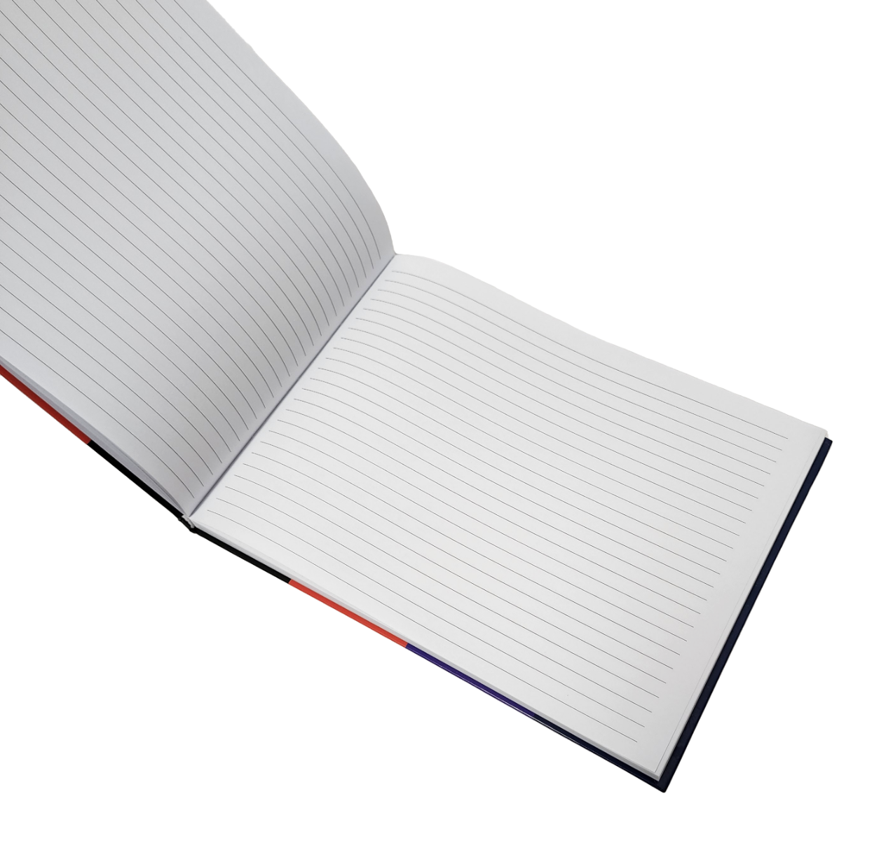 Campus Sophisticate’s Landscape Composition Notebook