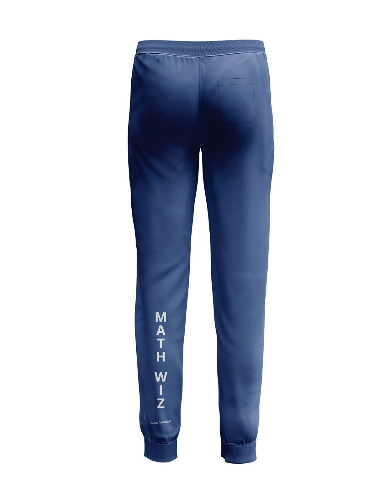 Campus Sophisticate Premium Male Sweatpants - MATH WIZ